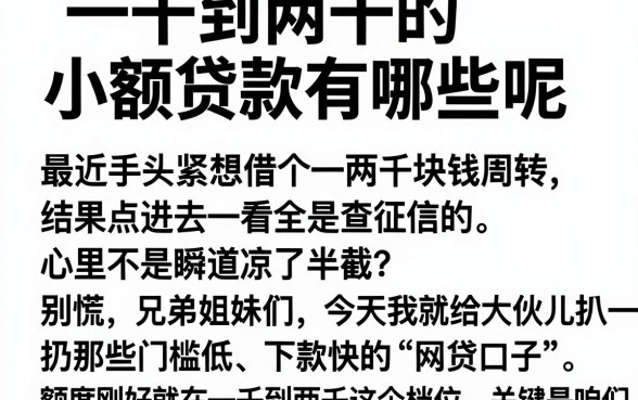 一千到两千的小额贷款有哪些呢,概括5个大学生可以使用的平台
