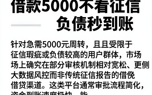 借款5000不看征信负债秒到账，枚举5个黑户可快速办理小额贷款业务的口子