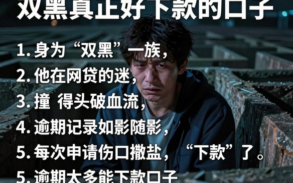 双黑真正好下款的口子,罗列五个逾期太多能下款口子