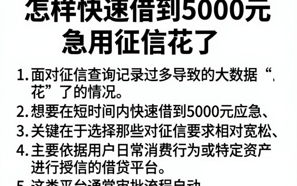 怎样快速借到5000元急用征信花了,条列五个12月能贷款的软件