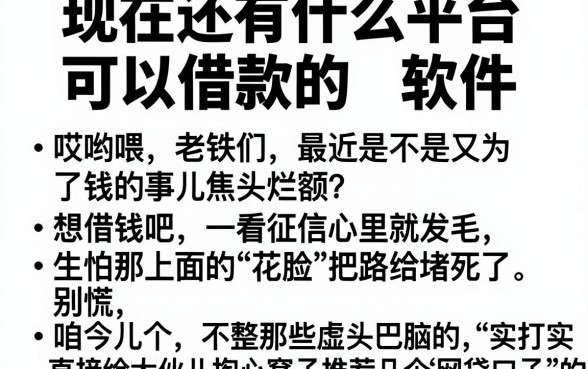 现在还有什么平台可以借款的软件，规整五个看银行流水的网贷平台
