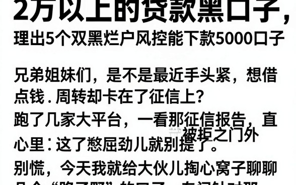 2万以上的贷款黑口子,理出5个双黑烂户风控能下款5000口子