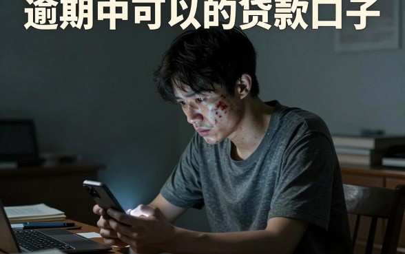 逾期中可以的贷款口子,枚举5个征信花了可以借钱的网贷app