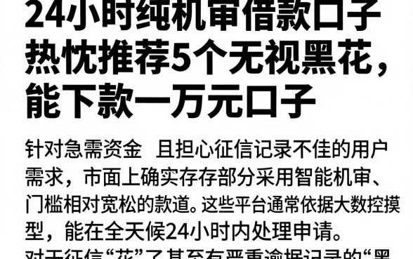 24小时纯机审借款口子，热忱推荐5个无视黑花能下款一万元口子