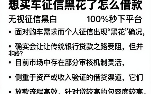 想买车征信黑花了怎么借款,详尽说明五个无视征信黑白100%秒下平台