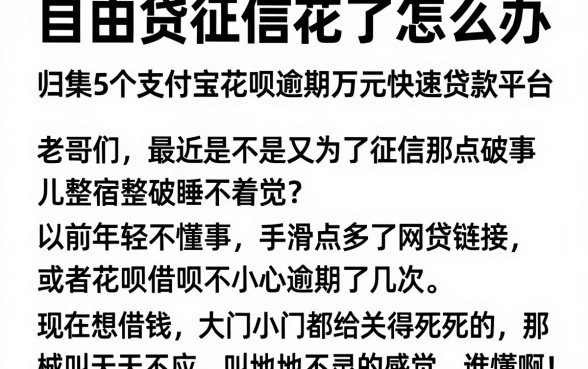 自由贷征信花了怎么办,归集5个支付宝花呗逾期万元快速贷款平台