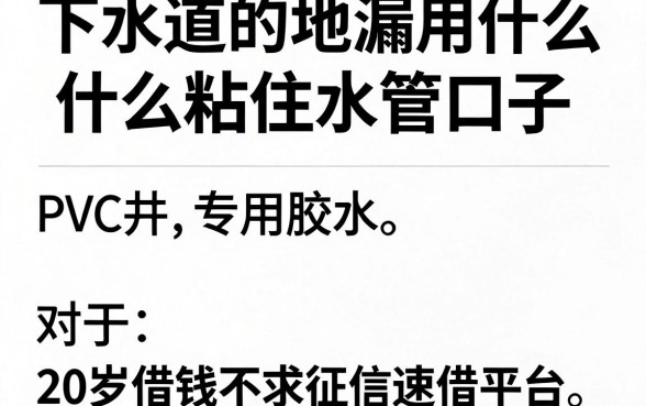 下水道的地漏用什么粘住水管口子，规整五个20岁借钱不求征信速借平台
