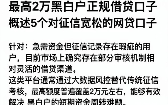 最高2万黑白户正规借贷口子，概括5个对征信宽松的网贷口子