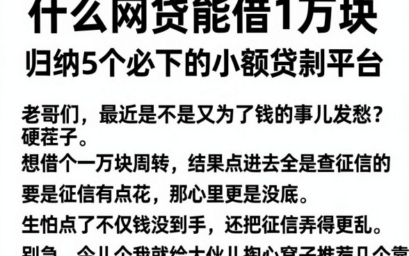 什么网贷能借1万块，归纳5个必下的小额贷款平台