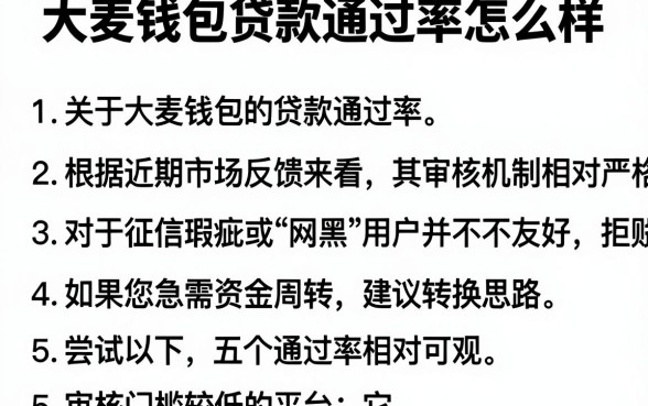 大麦钱包贷款通过率怎么样,归纳5个网黑逾期下款口子