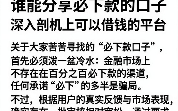 谁能分享必下款的口子,深入剖析5个手机上可以借钱的平台