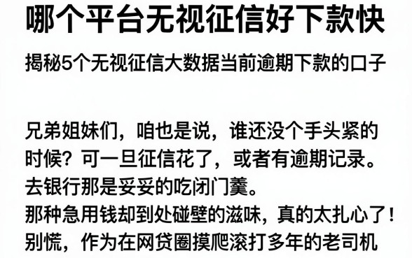 哪个平台无视征信好下款快,揭秘5个无视征信大数据当前逾期下款的口子