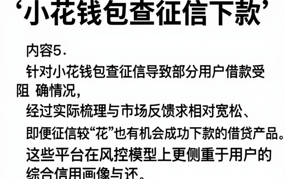 小花钱包查征信下款,理出5个征信花居然都下款的app