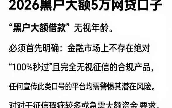 2026黑户大额5万网贷口子,详细阐述五个借款无视黑白无视年龄100%秒过app