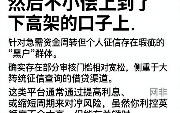 然后不小心上到了下高架的口子上，详细阐述五个黑户好下款的平台