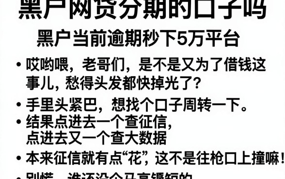 黑户网贷分期的口子吗,概括五个黑户当前逾期秒下5万平台