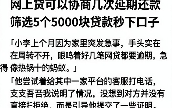 网上贷可以协商几次延期还款,筛选5个5000块贷款秒下口子