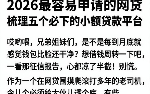 2026最容易申请的网贷,梳理五个必下的小额贷款平台