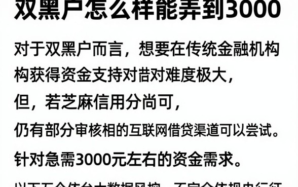 双黑户怎么样能弄到3000,详细阐述五个芝麻信用可以借钱的平台
