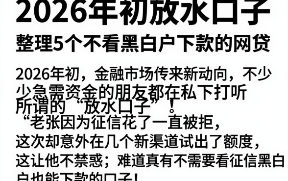 2026年初放水口子，整理5个不看黑白户下款的网贷