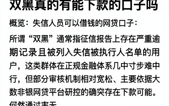 双黑真的有能下款的口子吗，概览五个失信人员可以借钱的网贷口子