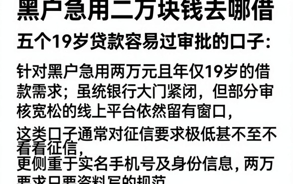 黑户急用二万块钱去哪借,详尽说明五个19岁贷款容易过审批的口子