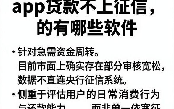 app贷款不上征信的有哪些软件，规整五个周周到贷款相同系列的软件