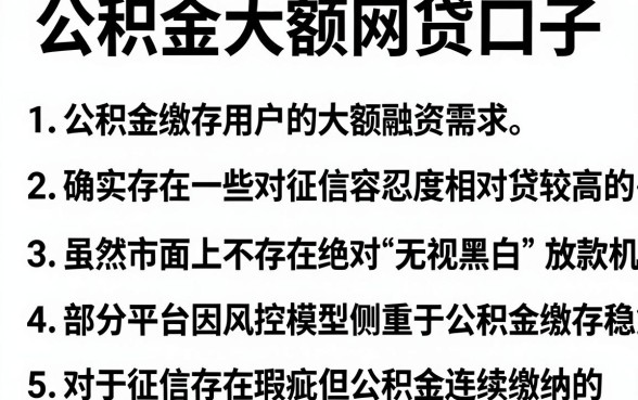 公积金大额网贷口子,条列五个黑到不能再黑都能下款的口子