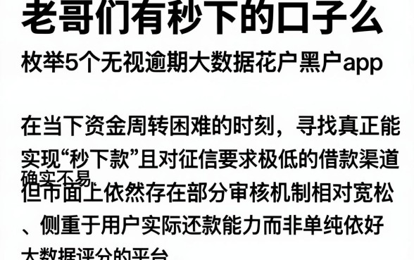 老哥们有秒下的口子么,枚举5个无视逾期大数据花户黑户app