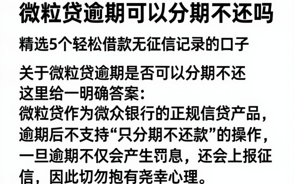 微粒贷逾期可以分期不还吗,精选5个轻松借款无征信记录的口子