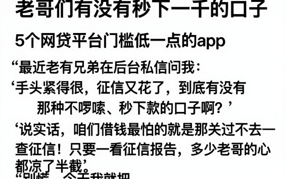 老哥们有没有秒下一千的口子,详尽说明5个网贷平台门槛低一点的app
