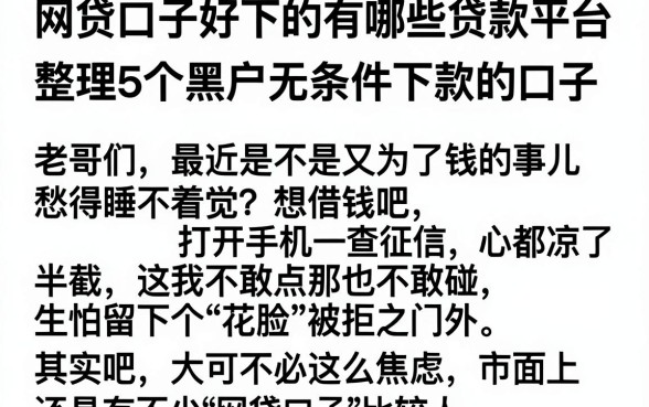 网贷口子好下的有哪些贷款平台,整理5个黑户无条件下款的口子