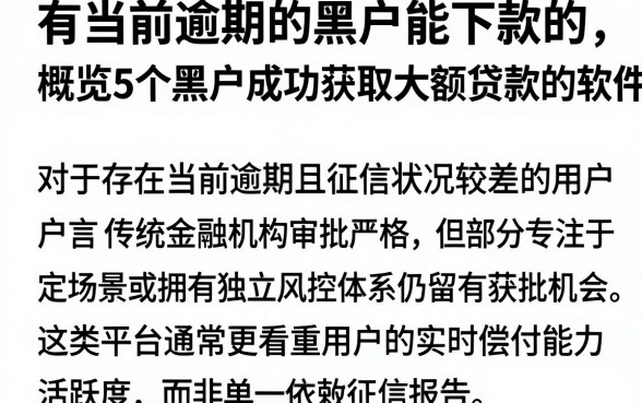 有当前逾期的黑户能下款的,概览5个黑户成功获取大额贷款的软件