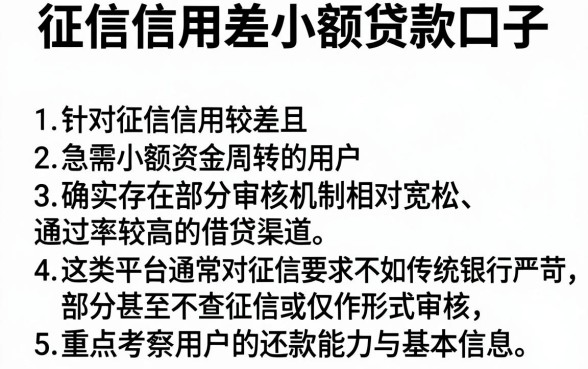 征信信用差小额贷款口子,概括5个可以借钱不用审核的口子