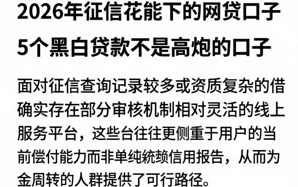 2026年征信花能下的网贷口子,详尽说明5个黑白贷款不是高炮的口子