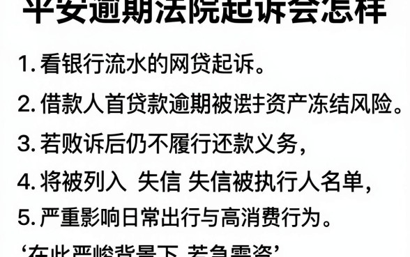 平安逾期法院起诉会怎样,详细阐述五个看银行流水的网贷平台