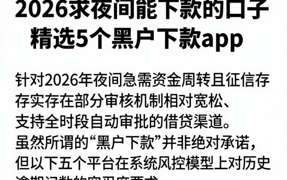 2026求夜间能下款的口子,精选5个黑户下款app