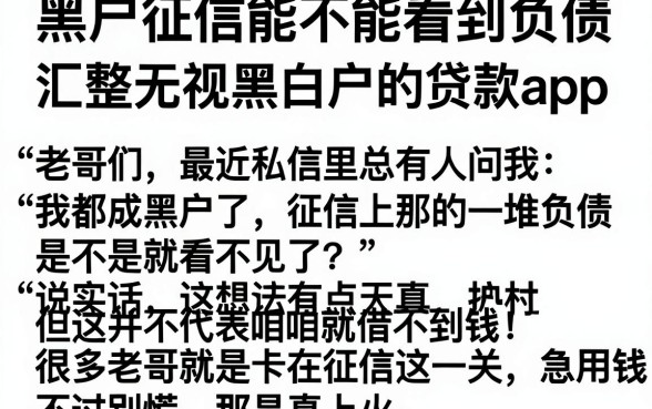 黑户征信能不能看到负债，汇整五个无视黑白户的贷款app