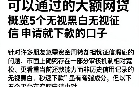 可以通过的大额网贷,概览5个无视黑白无视征信申请就下款的口子