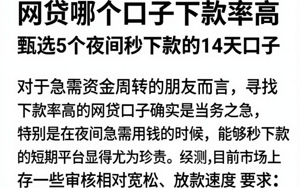 网贷哪个口子下款率高,甄选5个夜间秒下款的14天口子