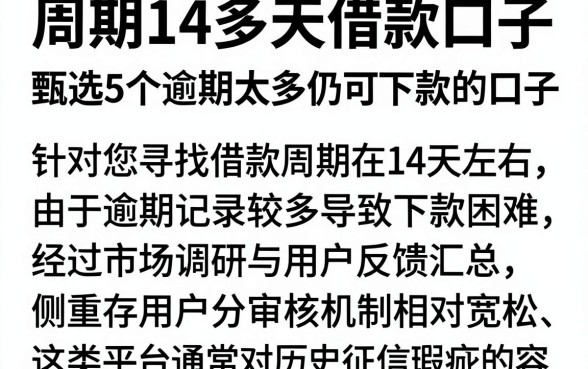周期14多天借款口子,甄选5个逾期太多仍可下款的口子