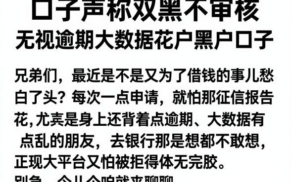 口子声称双黑不审核,罗列五个无视逾期大数据花户黑户口子