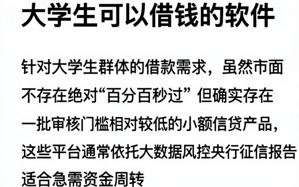 大学生可以借钱的软件,百分百秒过,概览五个无视征信黑户口子
