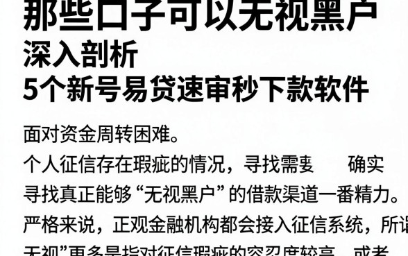 那些口子可以无视黑户，深入剖析5个新号易贷速审秒下款软件