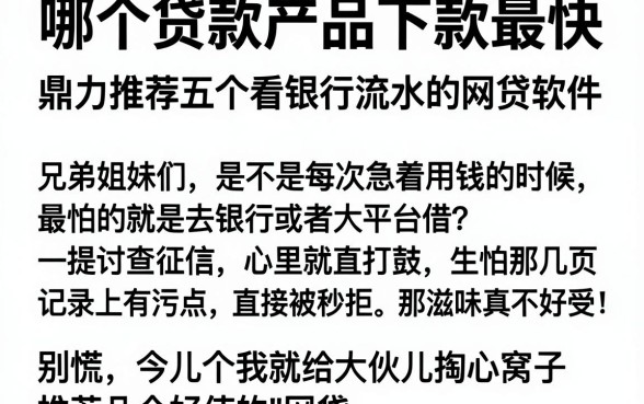 哪个贷款产品下款最快,鼎力推荐五个看银行流水的网贷软件