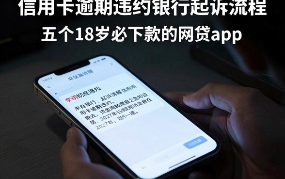 信用卡逾期违约银行起诉流程，深入剖析五个18岁必下款的网贷app