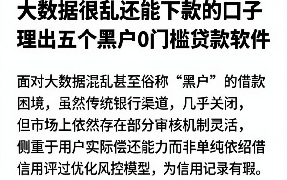 大数据很乱还能下款的口子，理出五个黑户0门槛贷款软件
