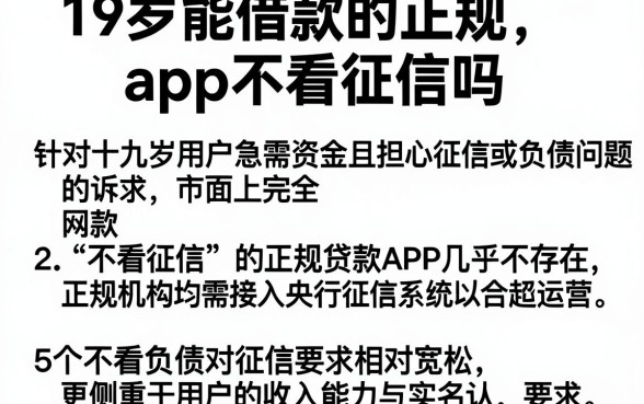 19岁能借款的正规app不看征信吗,详尽说明5个不看负债秒下款的网贷软件