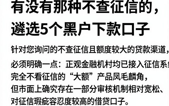 有没有那种不查征信的大额贷款,遴选5个黑户下款口子
