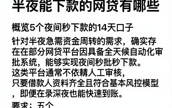 半夜能下款的网贷有哪些,概览5个夜间秒下款的14天口子